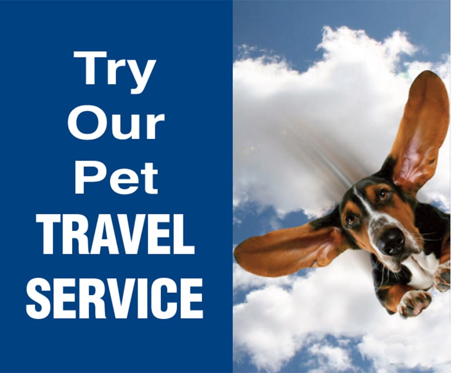 A dog flying through the air with text " try our pet travel service ".