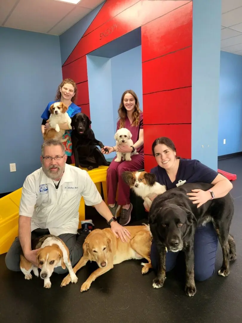 A group of people and some dogs in a room.