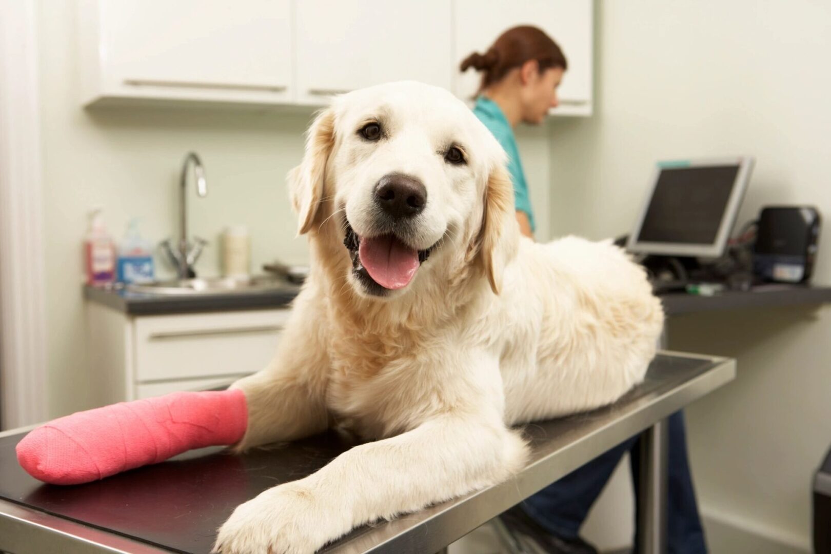 A dog with its paw in the arm of a table.